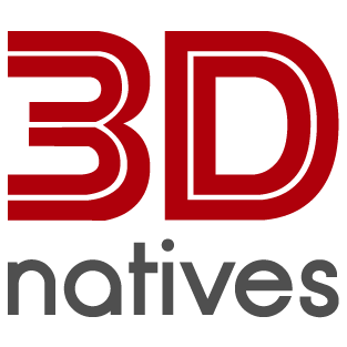 3D Natives Logo
